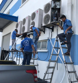 Công ty Điện Lạnh Hoàng Thọ